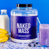 mass gainer protein powder